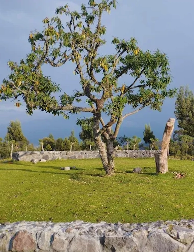 Lechero sagrado de Otavalo, laguna de San Pablo